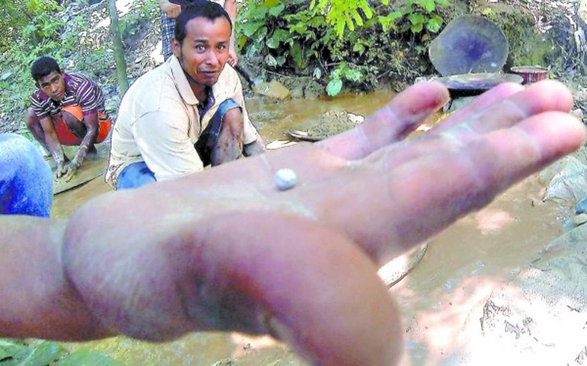 Ahora sobreviven de los residuos del oro