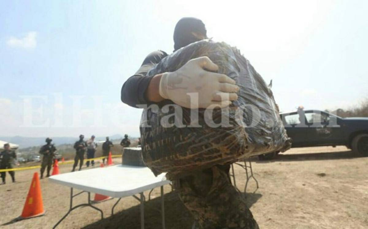En el día del cannabis, Policía Militar de Honduras quema mil libras de marihuana