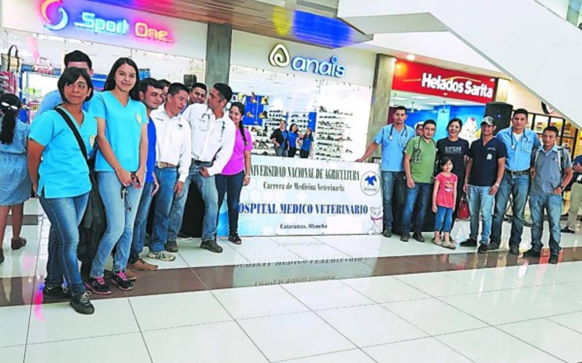 Veterinarios hondureños con vocación a servir a la comunidad