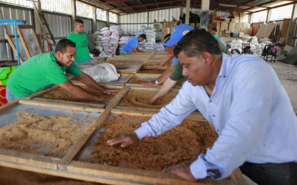 La capital de Honduras hacia el reencuentro de la tradición