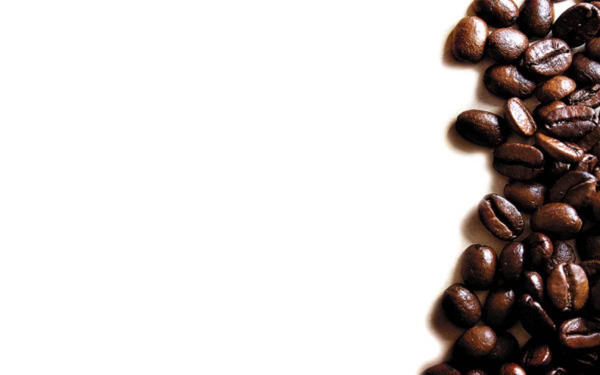 Precio mundial sigue estimulando a pequeños productores