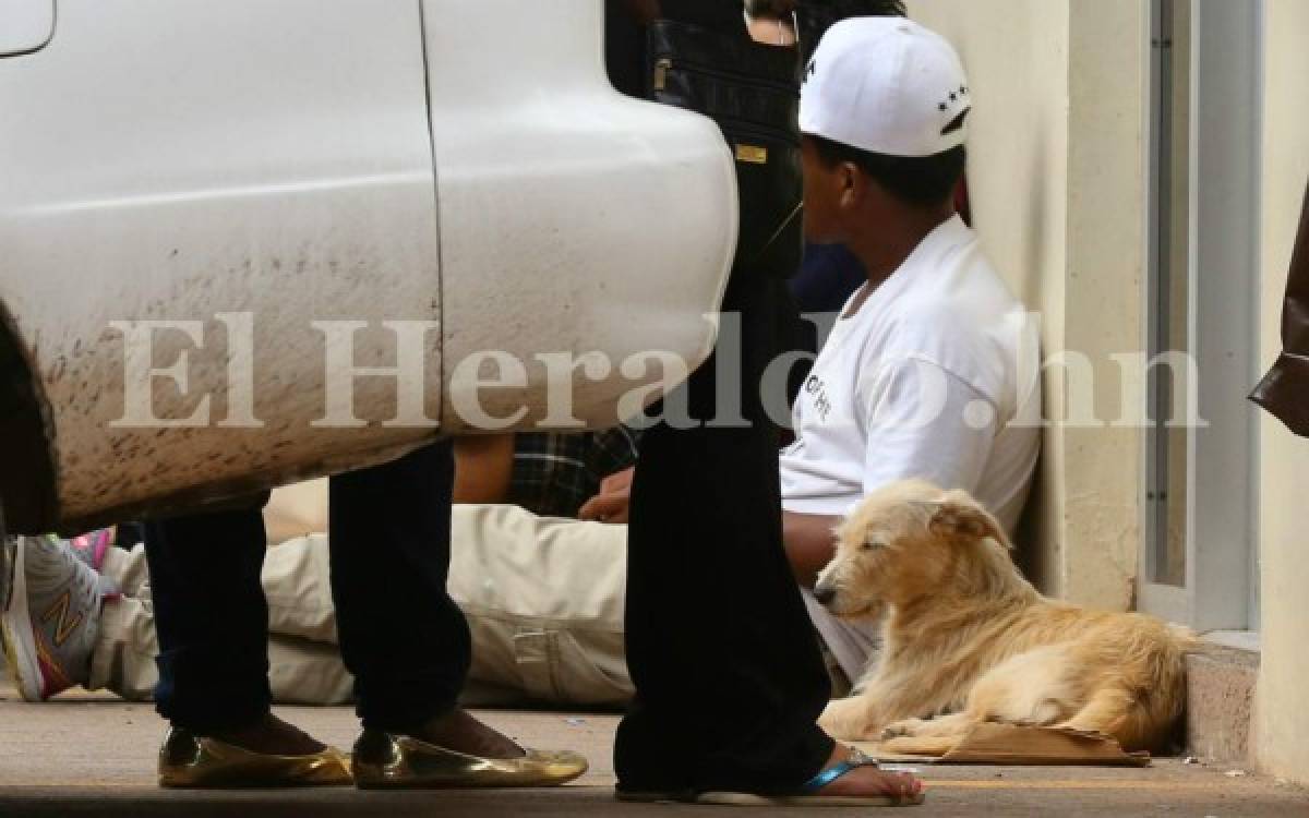 La perrita se acuesta en la puerta por varias horas a la espera de su antigua familia.