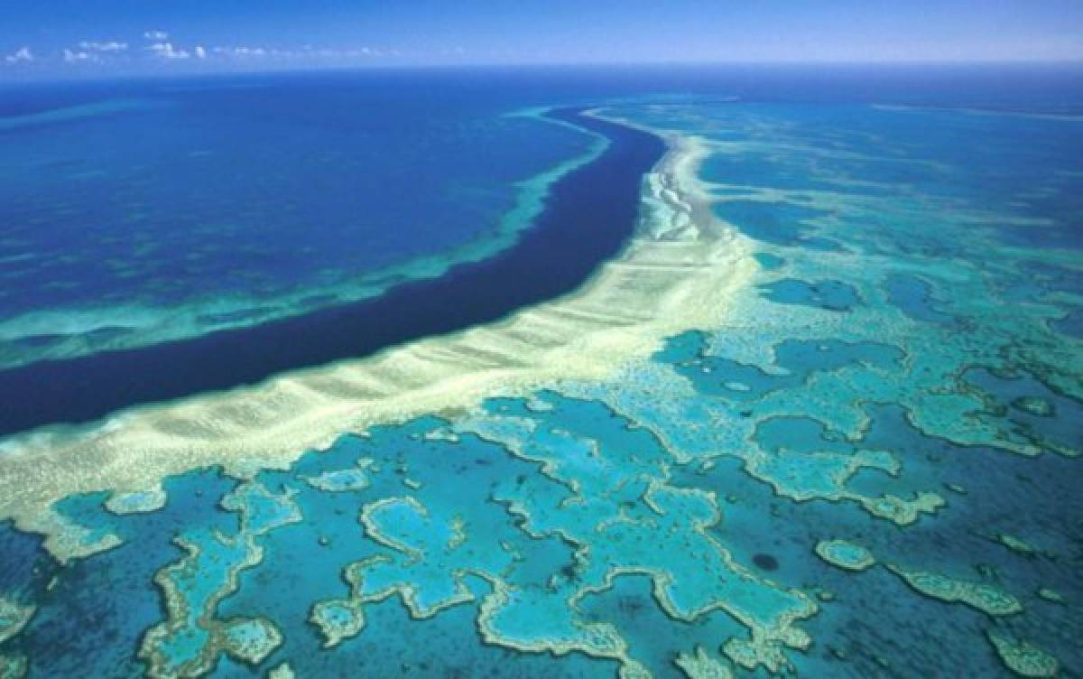 Cambio climático, turismo y ciencia se enfrentan por la Gran Barrera de Coral