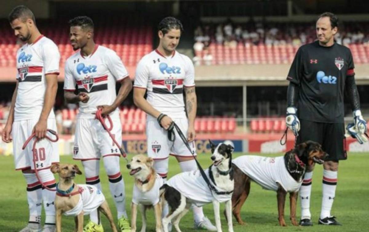 Sao Paulo salió a la cancha con perros para promover la adopción