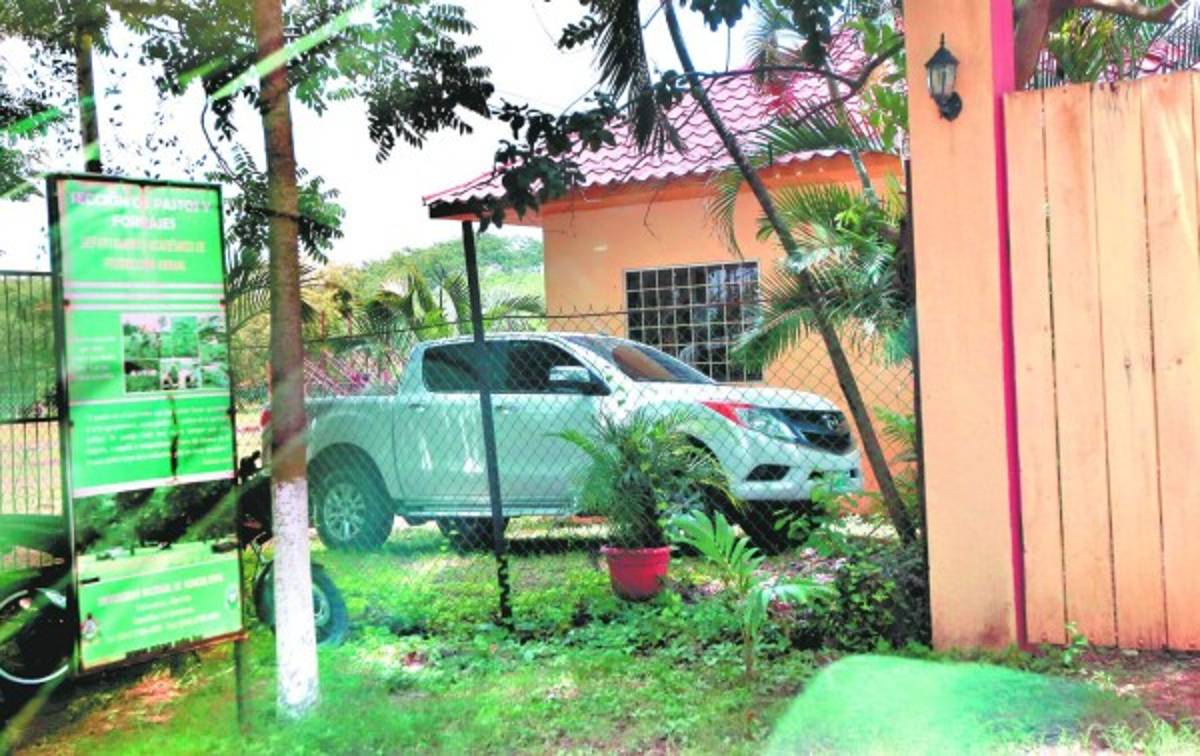 Honduras: Se pierden vacas que OABI le dio a la Universidad Nacional de Agricultura