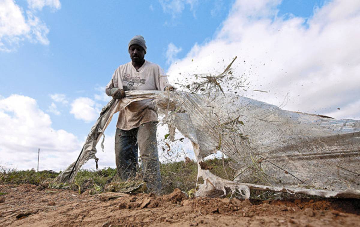 Recordando la batalla por los derechos de los negros