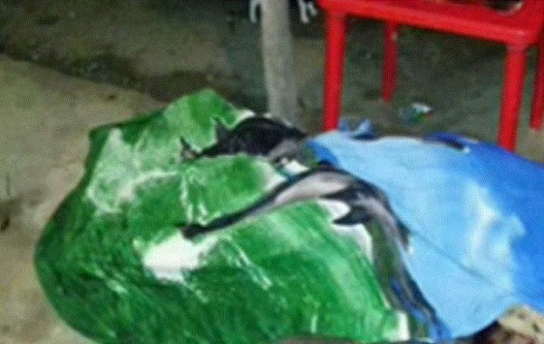 Nueva masacre deja tres personas muertas en Trujillo