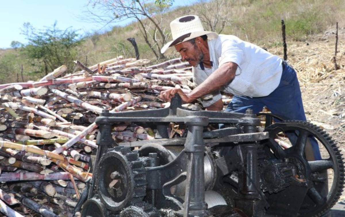 Tierra Adentro: Cantarranas, una mágica cita con las tradiciones de Honduras