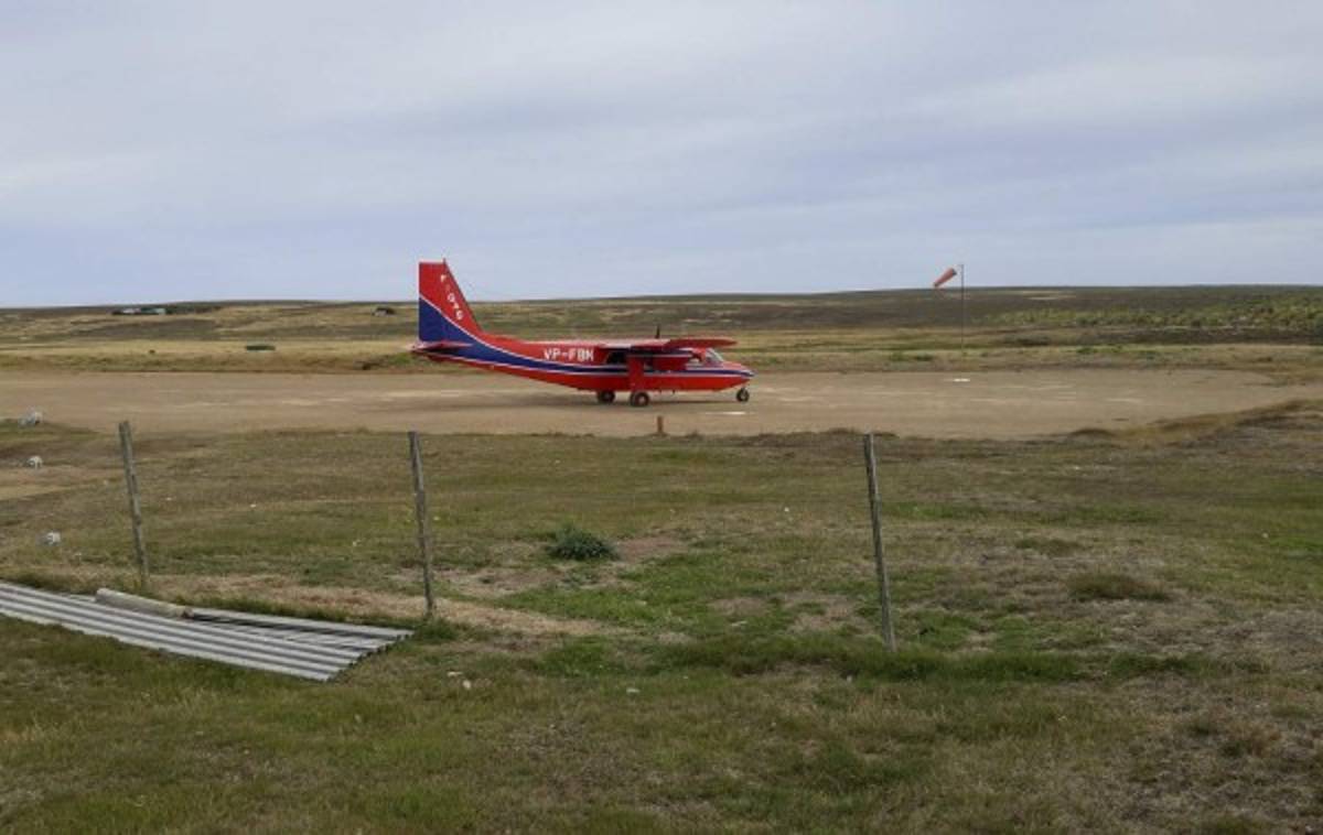 Islas Falkland: en el fin del mundo queda un bello paraíso