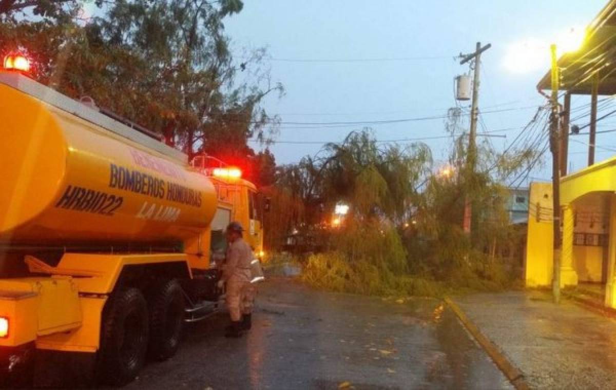 Lluvias dejan inundaciones y provocan caída de un enorme rótulo en San Pedro Sula