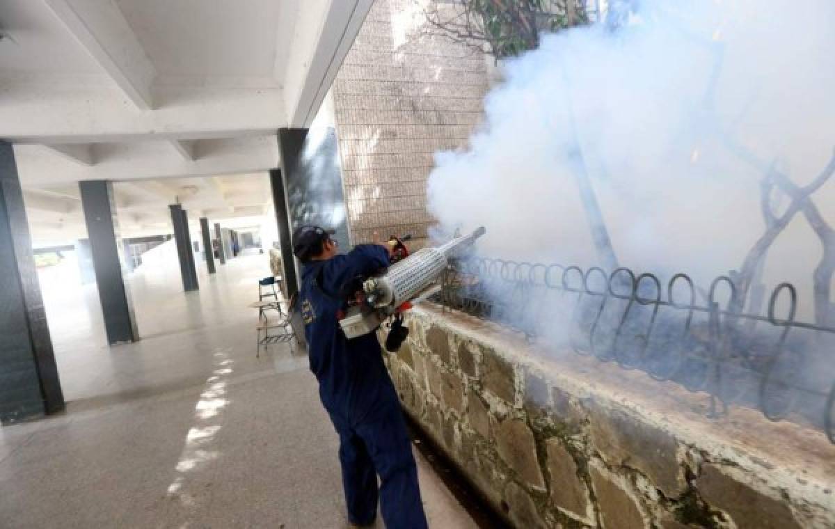 Honduras: Casos de dengue suman 1,800 en el primer trimestre