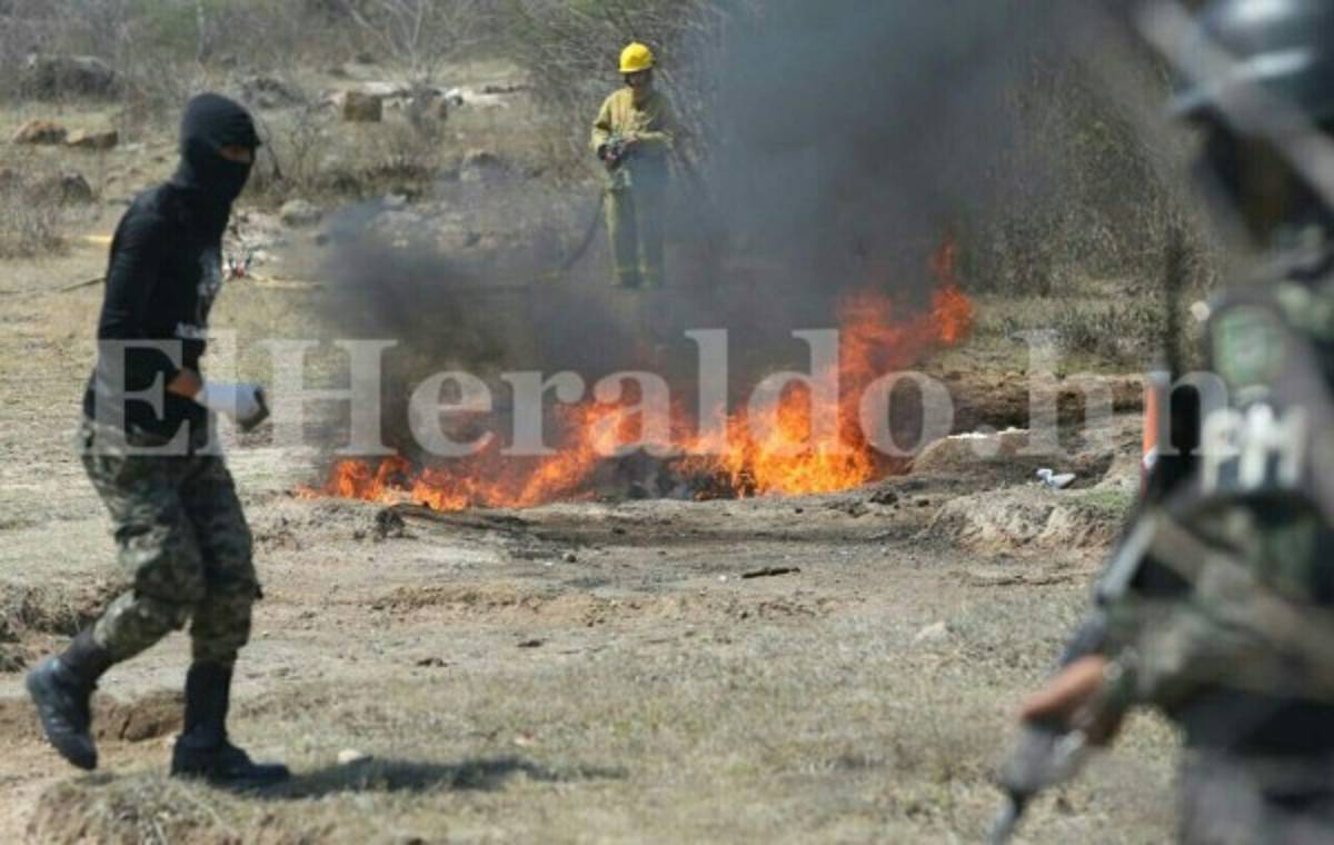 En el día del cannabis, Policía Militar de Honduras quema mil libras de marihuana