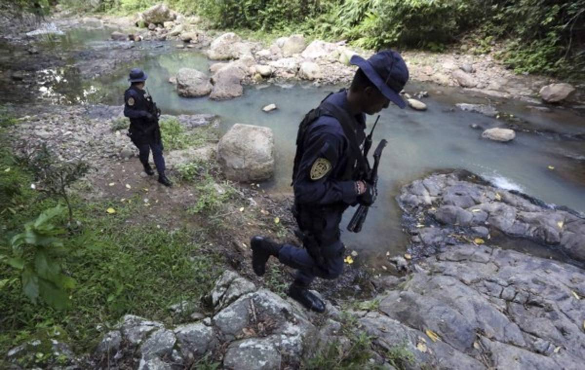 Honduras: Tras la cacería de coyotes