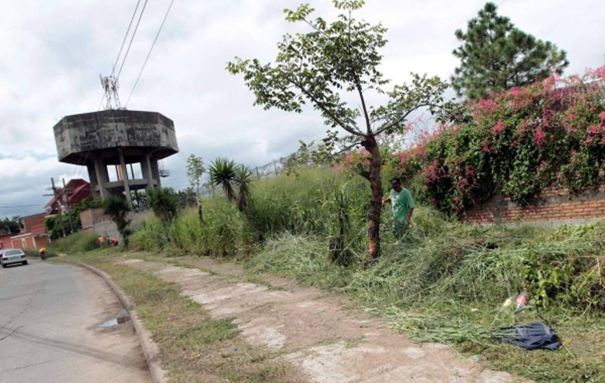 Sitiada Tegucigalpa por predios atestados de maleza