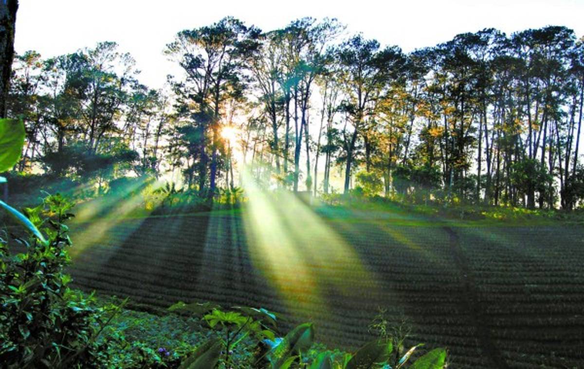 El Lago de Yojoa es cuna de la diversidad natural en Honduras