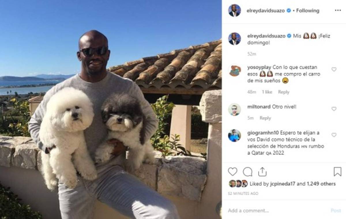 Esta es la fotografía de David Suazo junto a sus dos perritas.