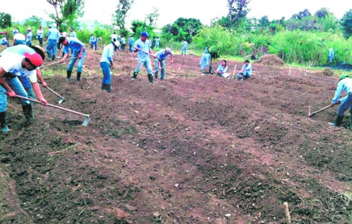 Estudiantes de la UNA trabajando la tierras en el centro educativo.