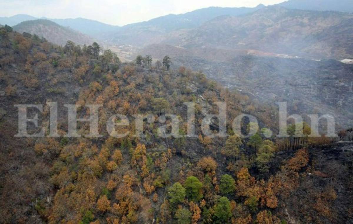 Los daños provocados por incendio en El Hatillo