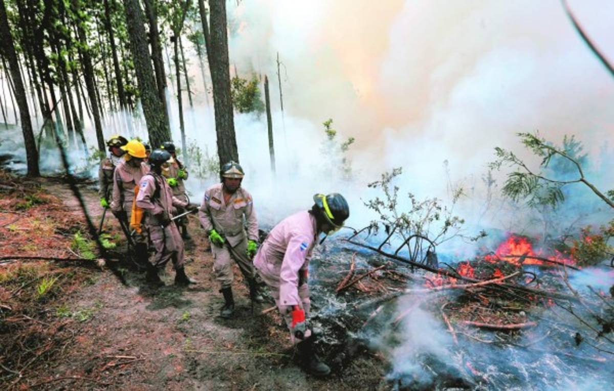 La capital, lugar con la mayor cantidad de incendios forestales