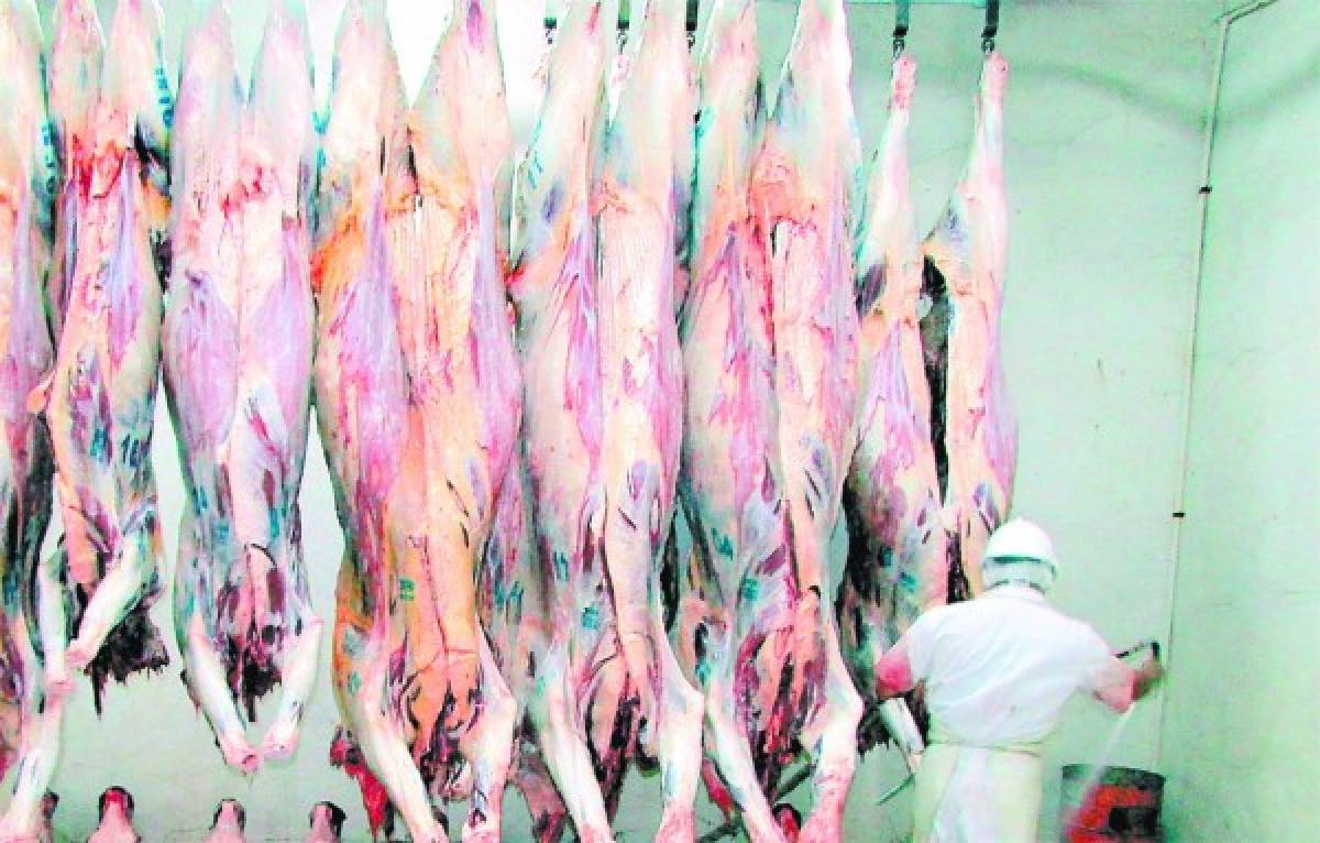 Crece exportación de carne en Honduras