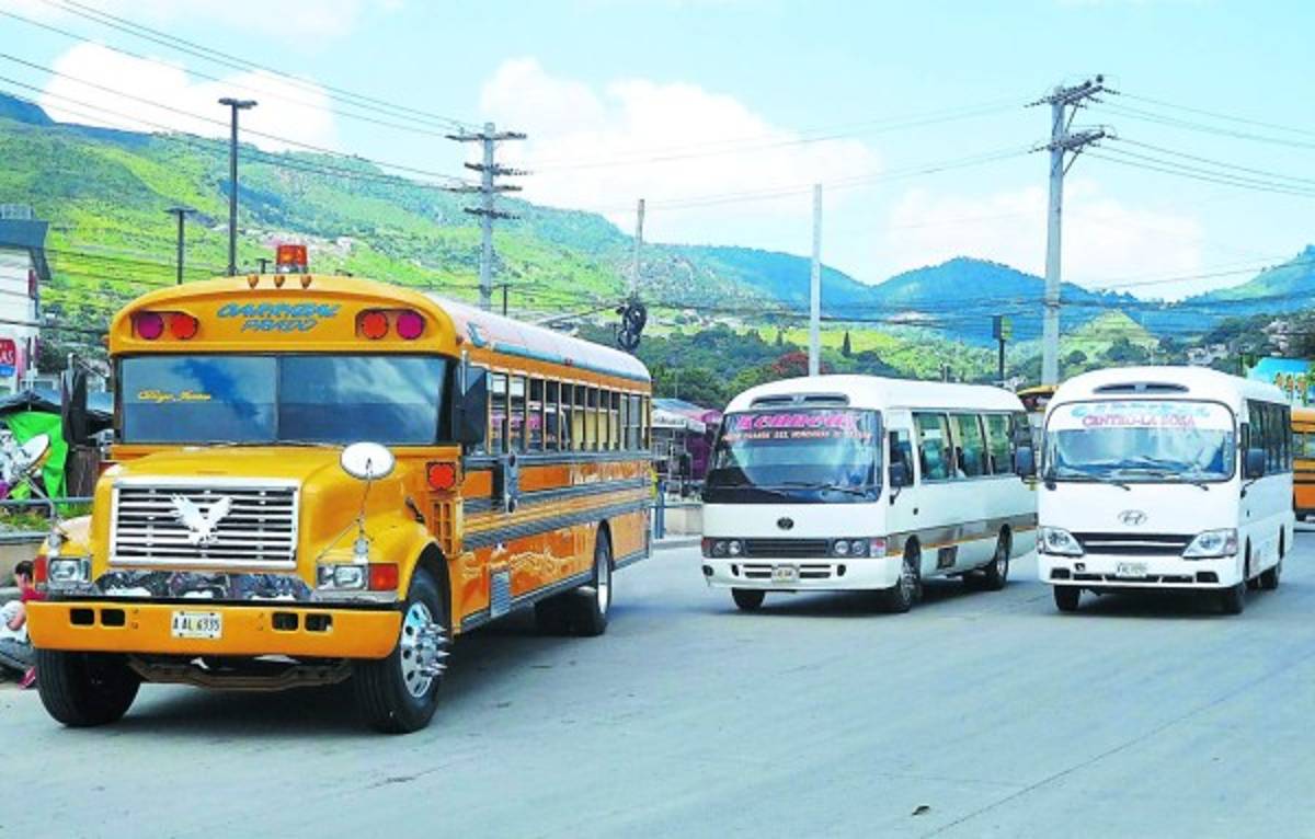 Crearán una Fuerza Nacional de Apoyo al Transporte en la capital