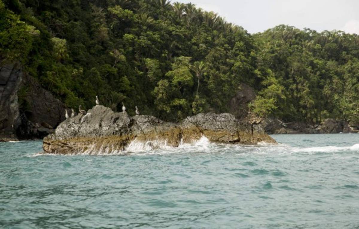 Tela, santuario ecológico de aventuras sin fin