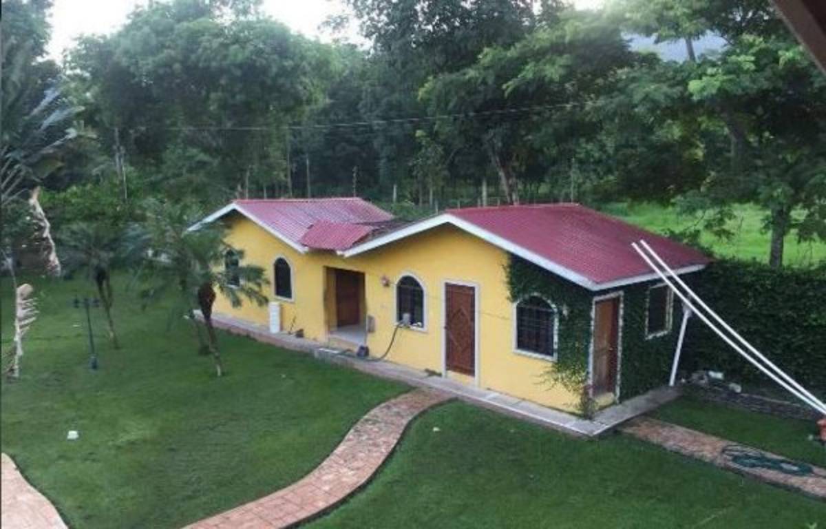 'Operación Centurión' en Honduras: Incautan bienes a supuestos socios de los hermanos Valle