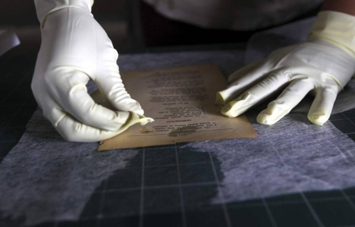 Cirujana de libros y curadora de historias