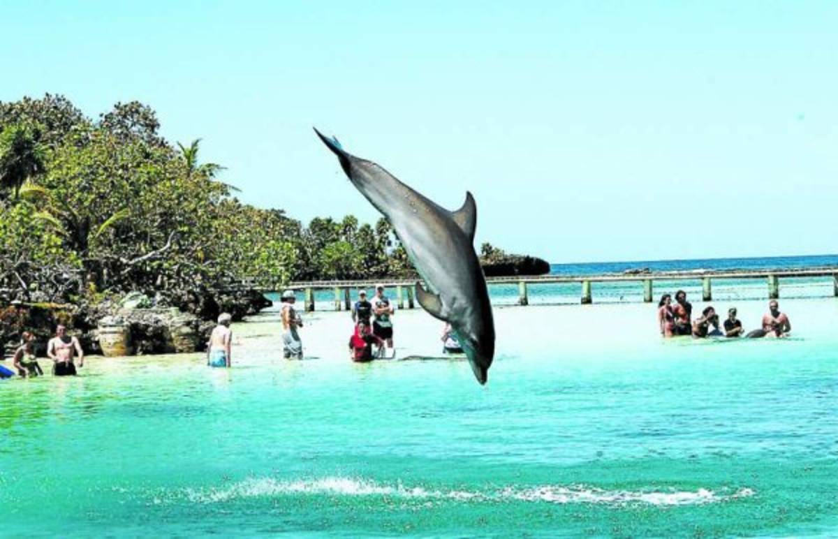 Honduras: Roatán será la isla más segura