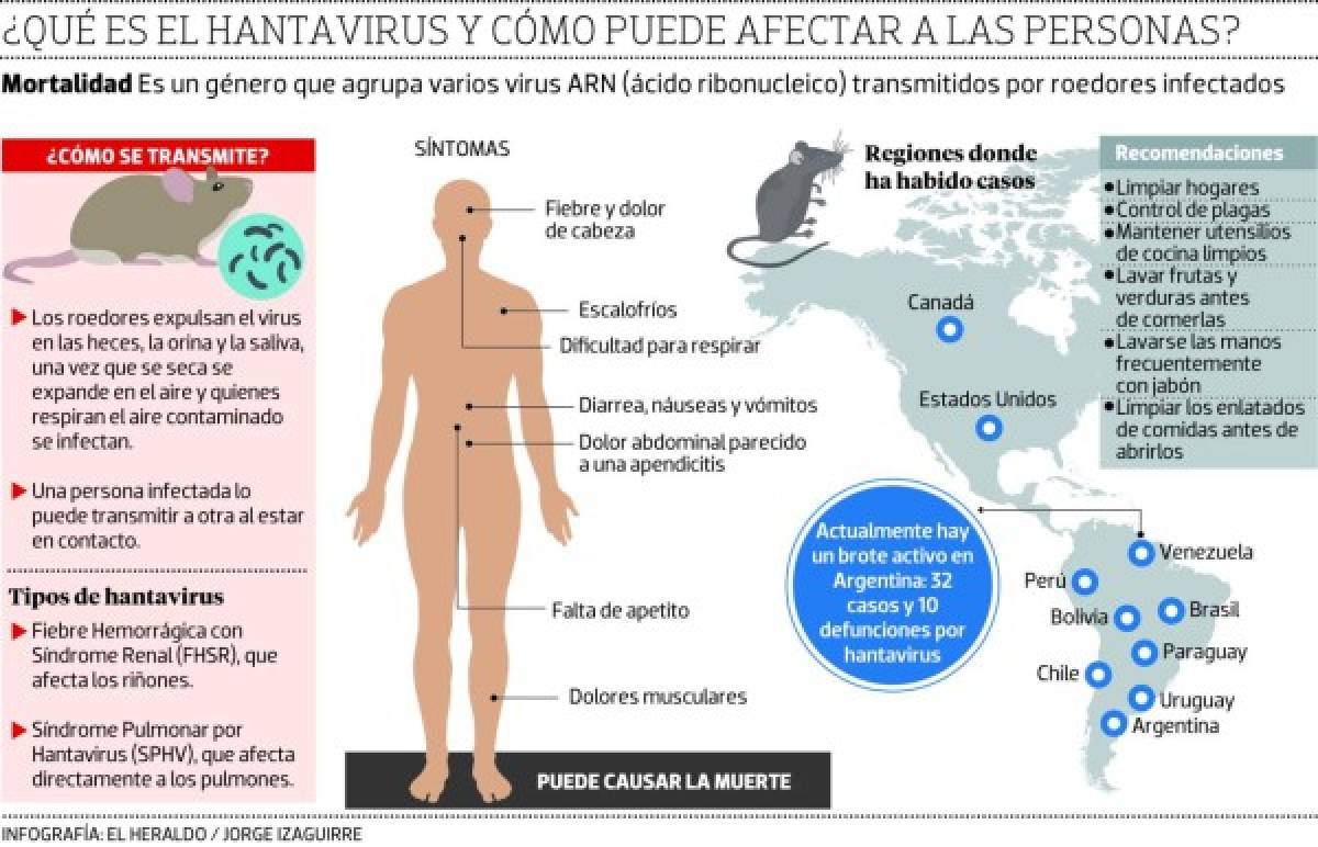 La Organización Panamericana de la Salud recomienda estar listo para poder diagnosticar el hantavirus