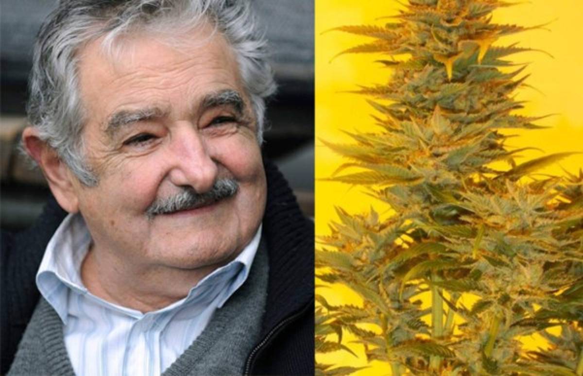 'Mujica gold', la nueva semilla de marihuana para fans de Mujica