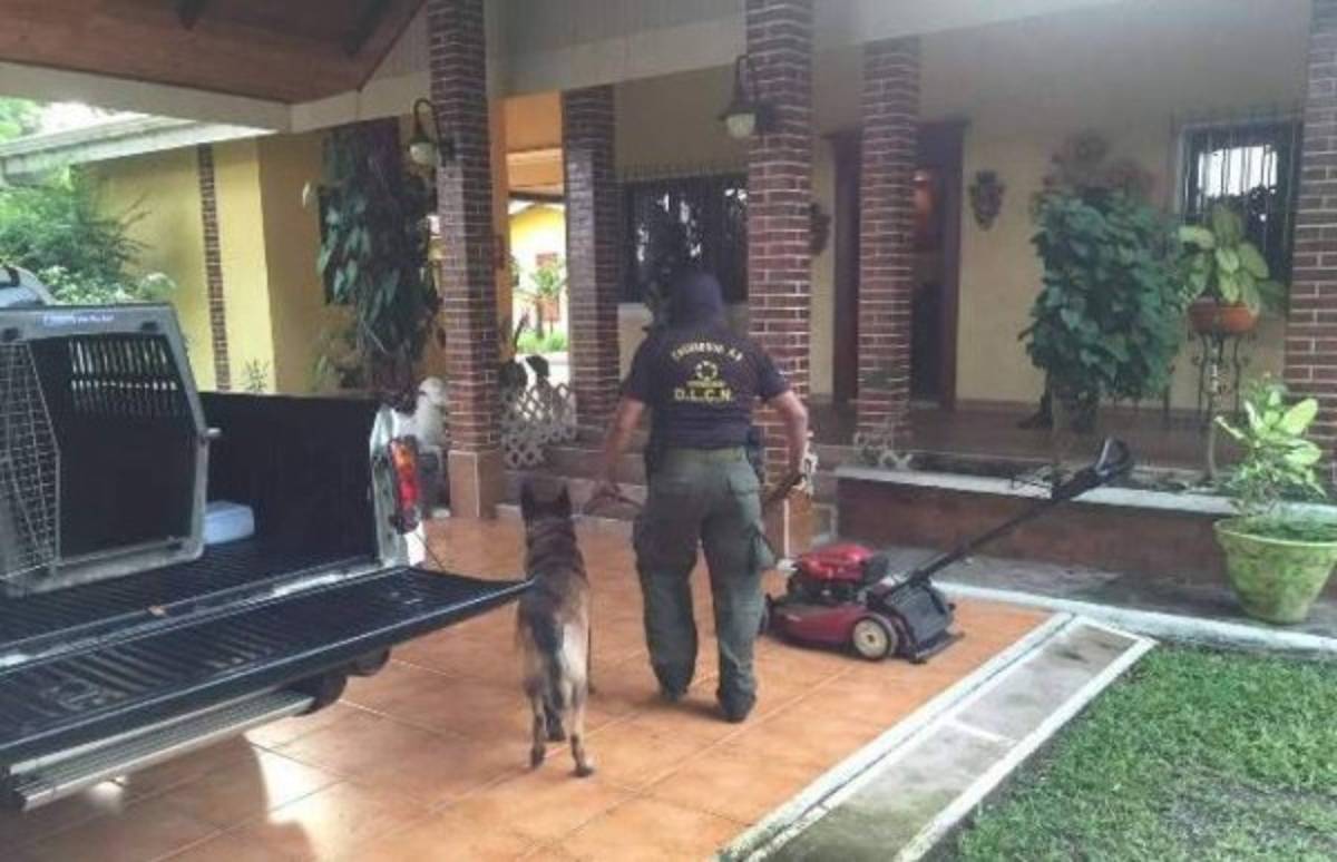 'Operación Centurión' en Honduras: Incautan bienes a supuestos socios de los hermanos Valle