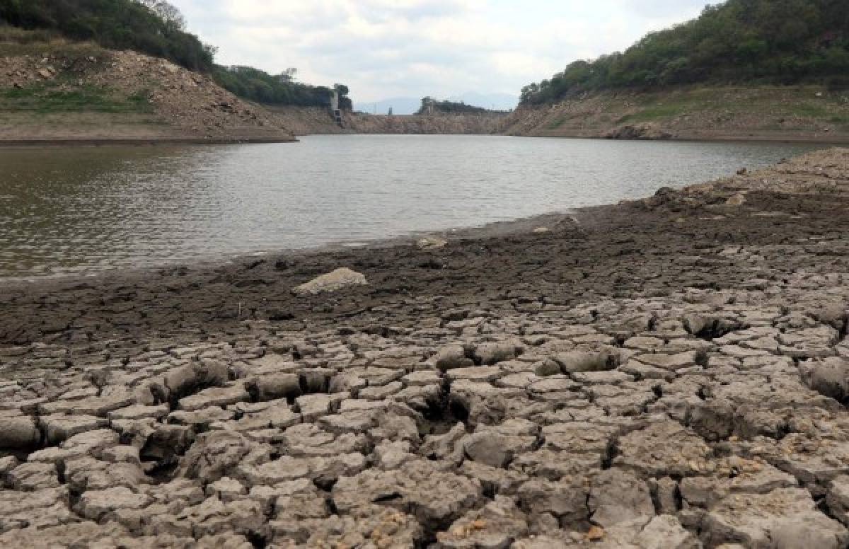 En licitación dos proyectos de agua para los capitalinos