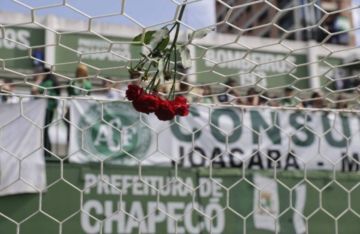 Chapecoense, el matagigantes de Sudamérica