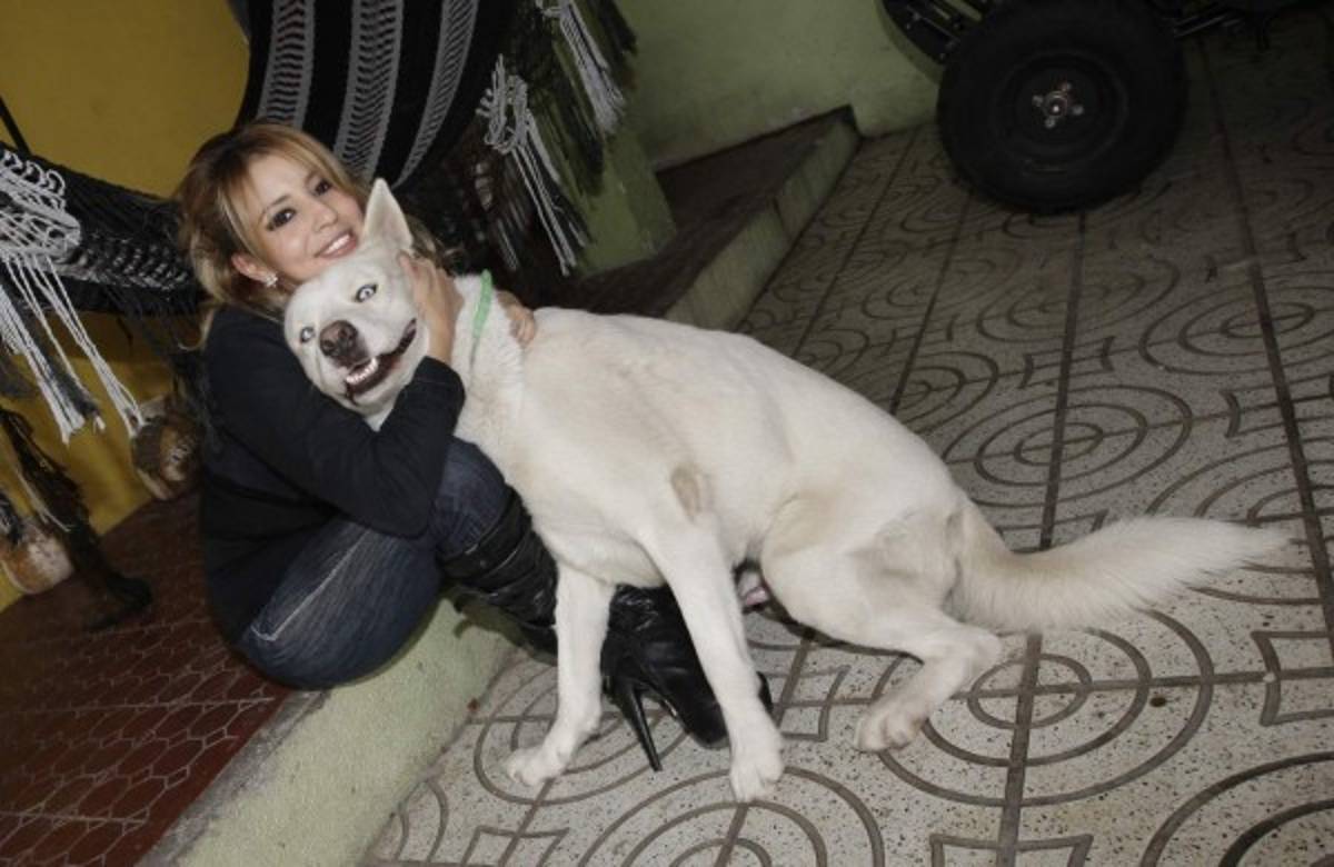 Denisse Durán es una apasionada por su familia y considera a las mascotas parte de ella. (Fotos: EL HERALDO Honduras / Noticias de Honduras)