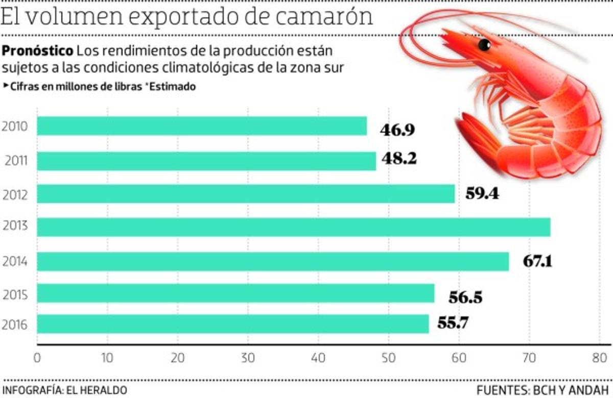 La industria acuícola puede lograr este año la cifra récord de 70 millones de libras exportadas.