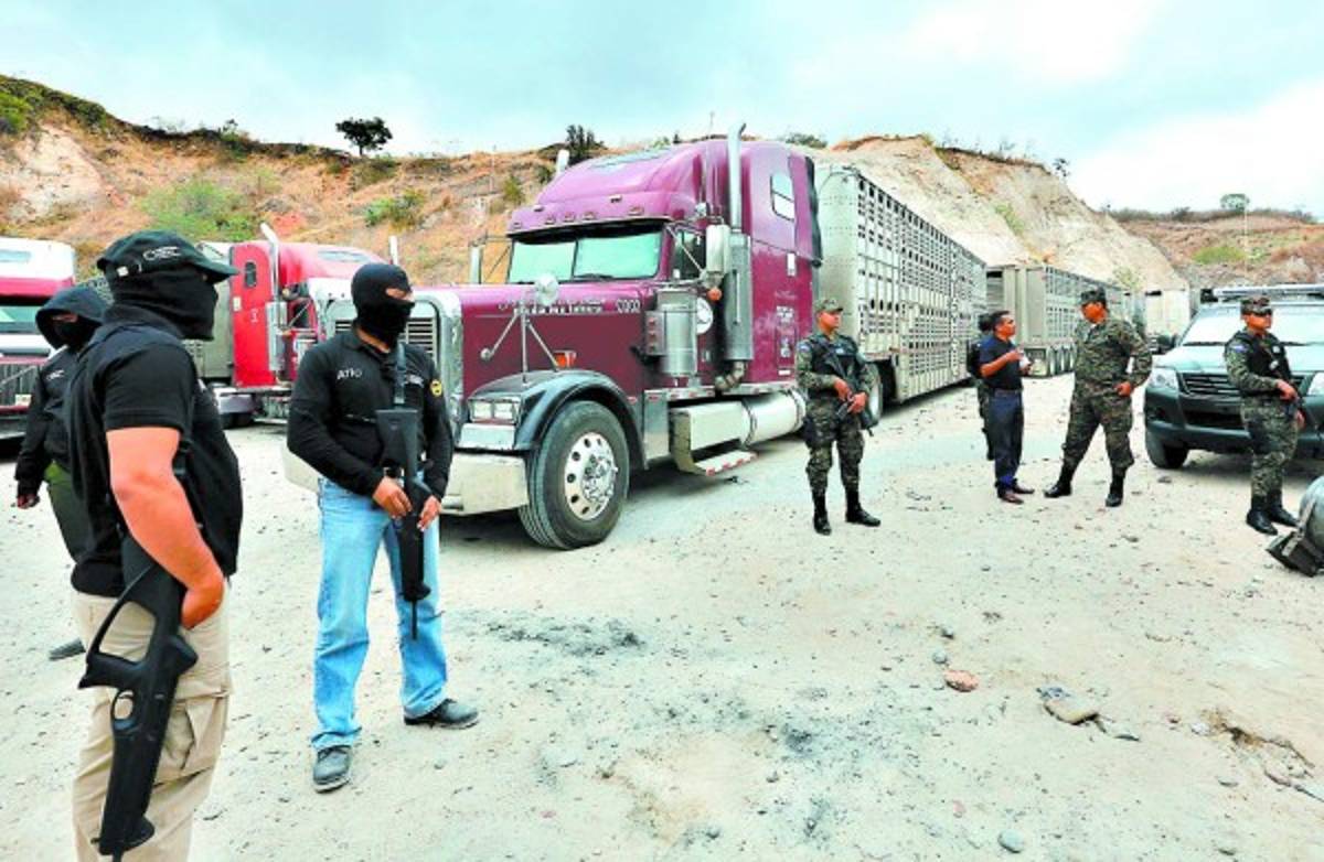 Honduras: Ganado decomisado tiene carta de venta