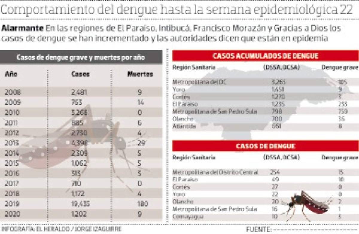 Cuatro regiones de Honduras en epidemia por aumento de casos de dengue