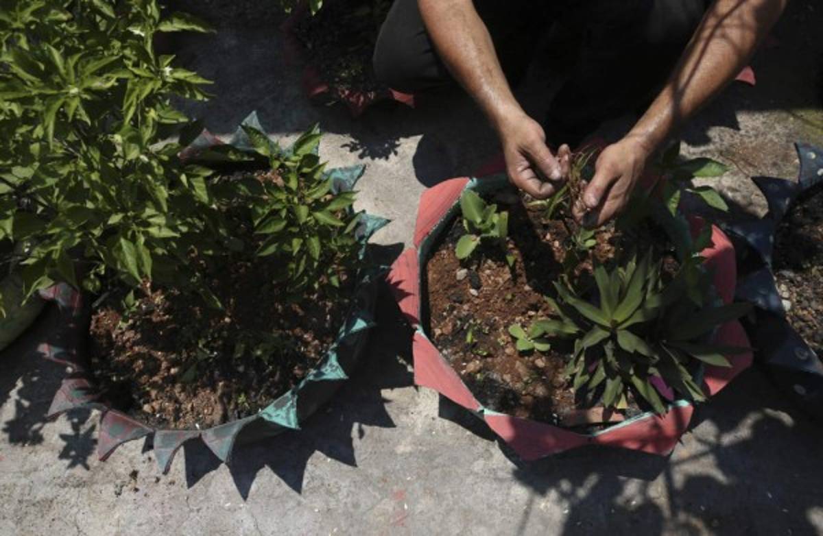 Curiosas obras de arte a base de llantas gastadas