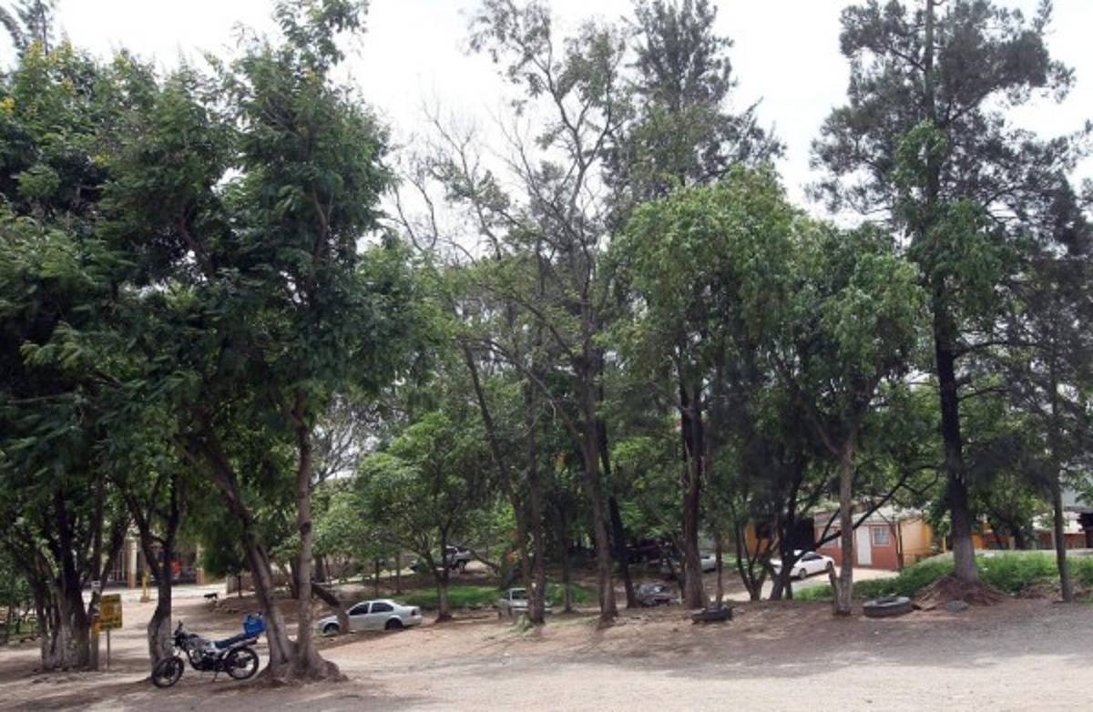 Con lotificación de áreas verdes regulan venta ilegal de predios