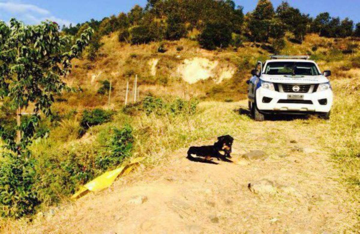 Matan a joven que había sido raptado y es hallado junto a su perro