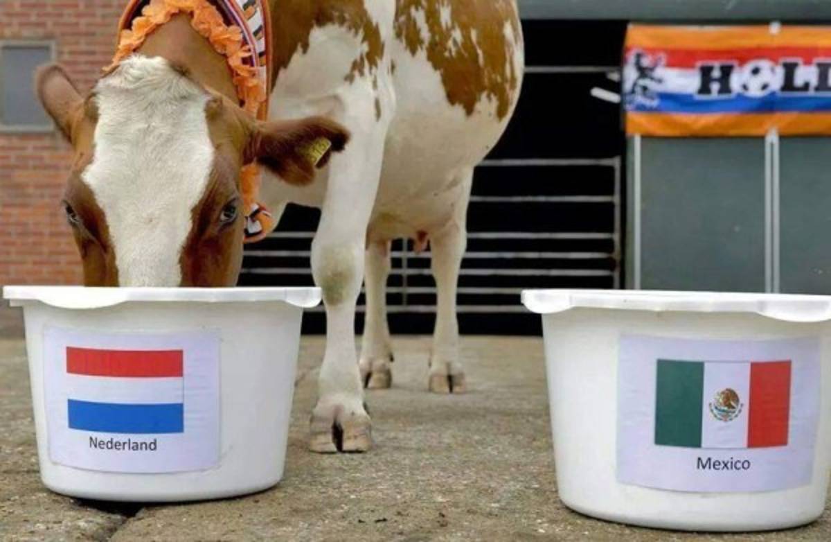 Los memes por la derrota de México ante Holanda