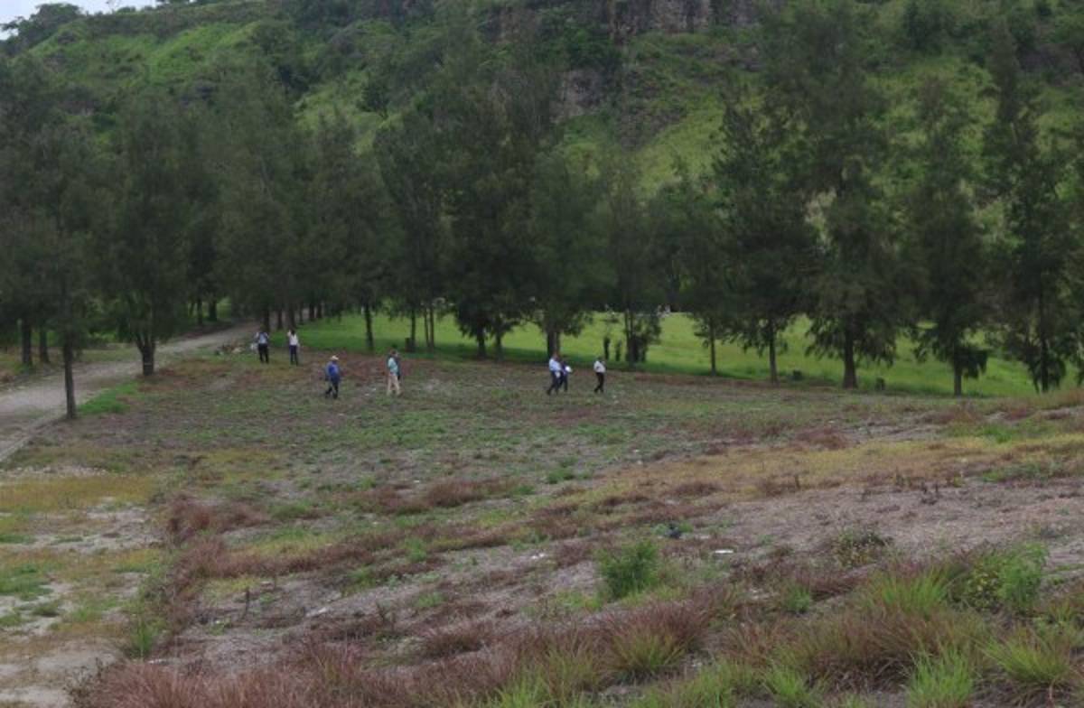Alcaldía adquiere 20 mil lotes para nuevo cementerio