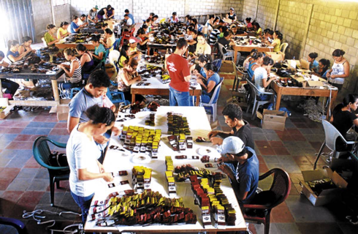 Rubro del tabaco genera nuevas plazas laborales en aldea El Pescadero