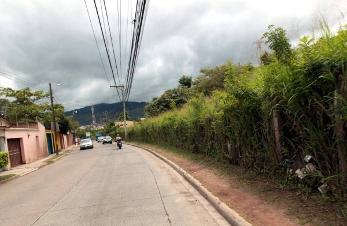 Sitiada Tegucigalpa por predios atestados de maleza