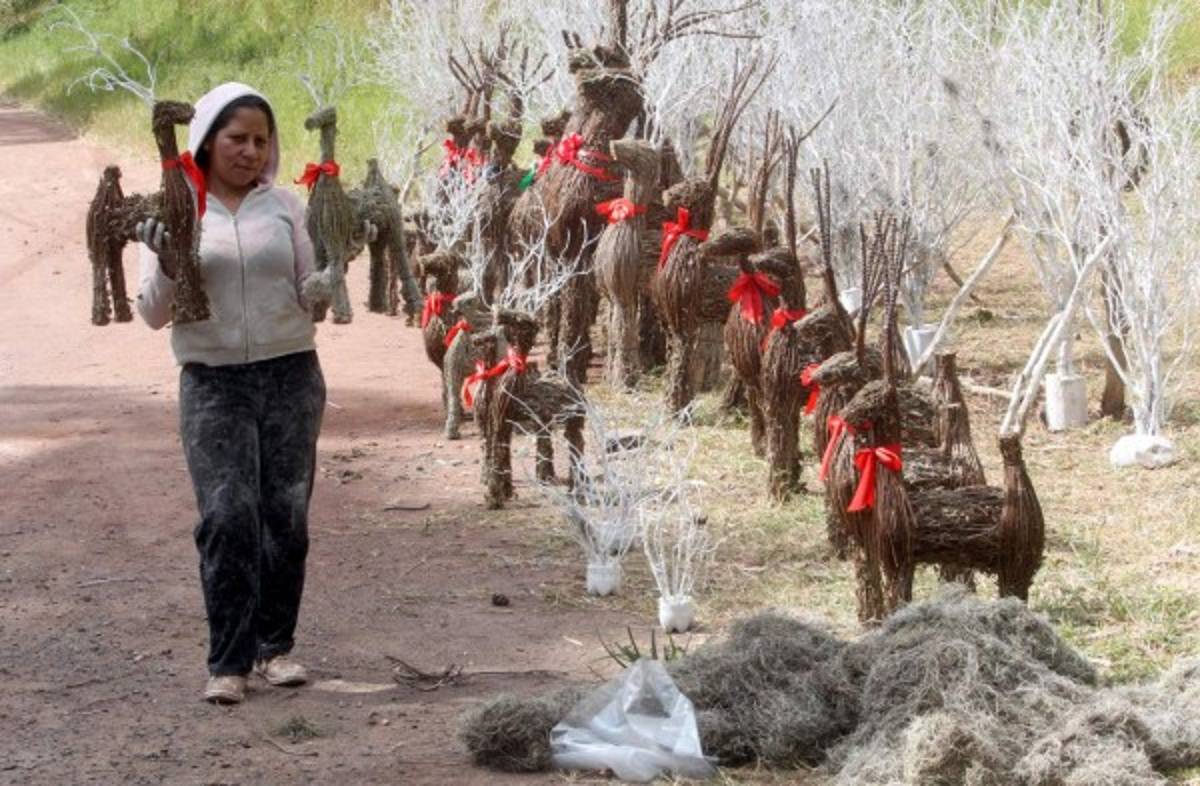 Espléndidas obras de arte navideño engalanan las calles de la capital