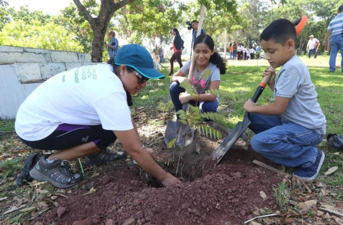 Centros escolares y entidades celebran el Día del Árbol Nacional