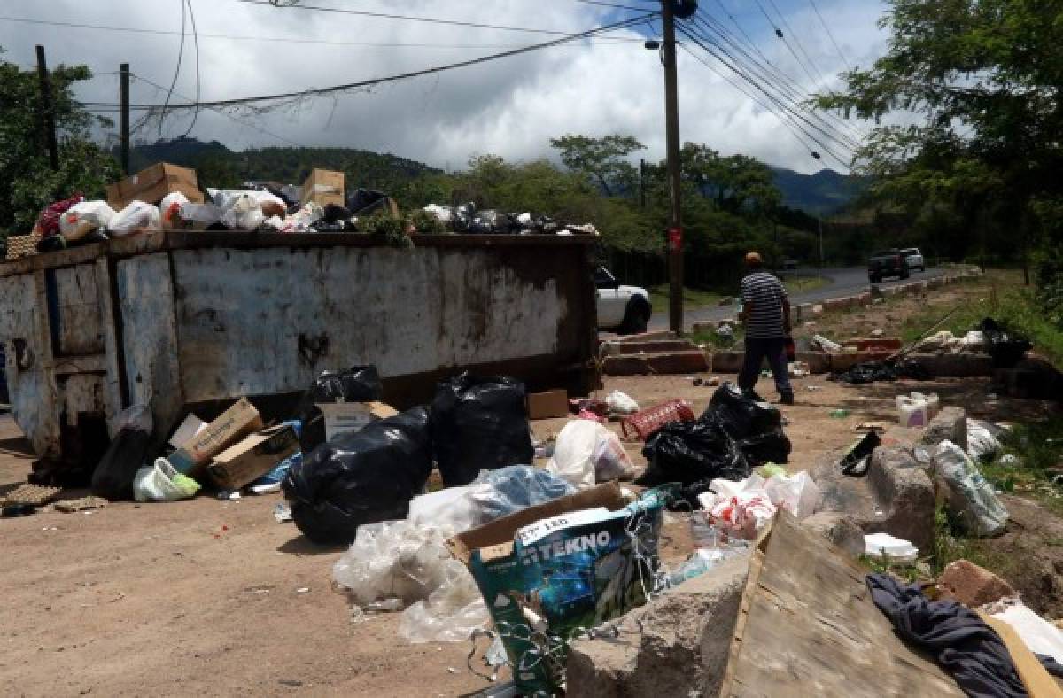 600 toneladas de basura por mes llegan al DC de municipios vecinos