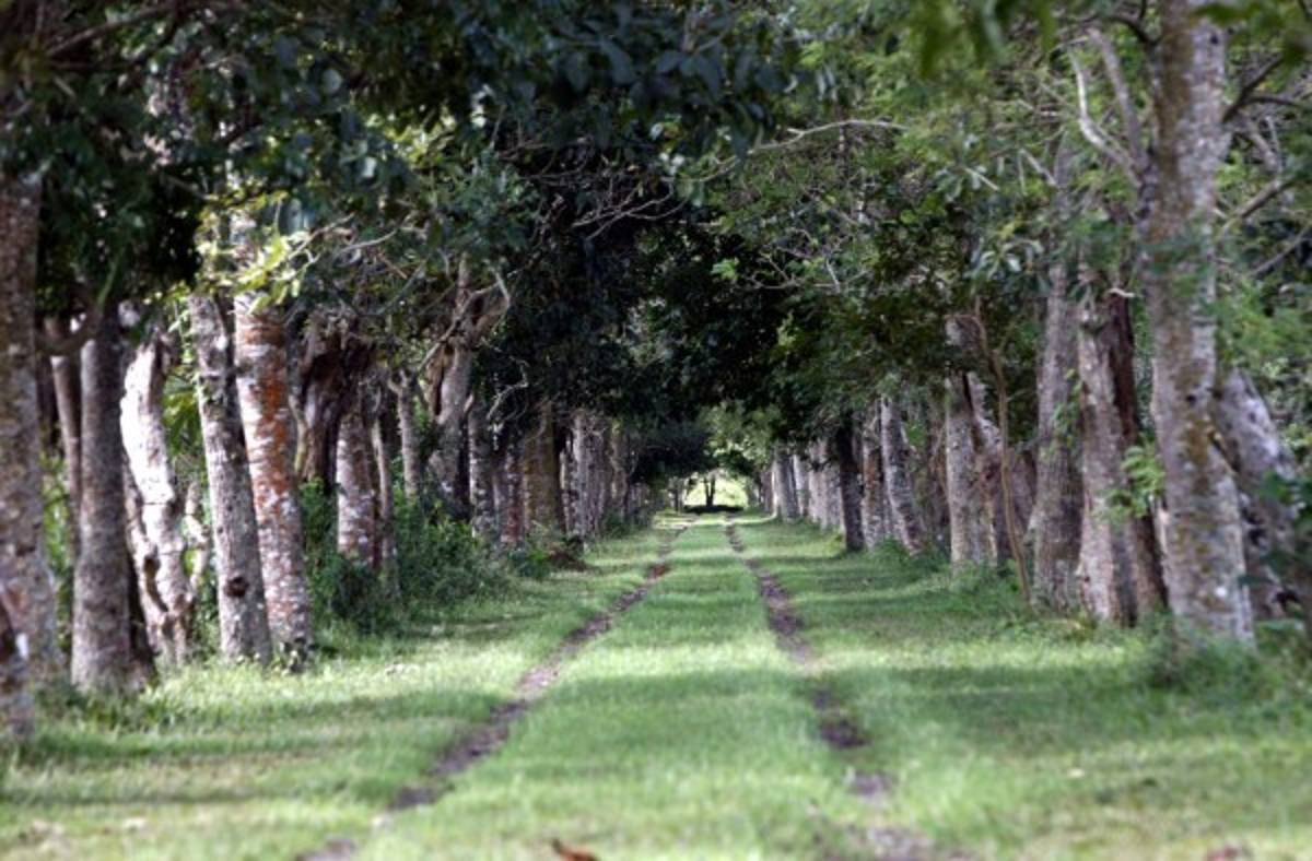 Enigmáticos vestigios develan la grandeza de una civilización.