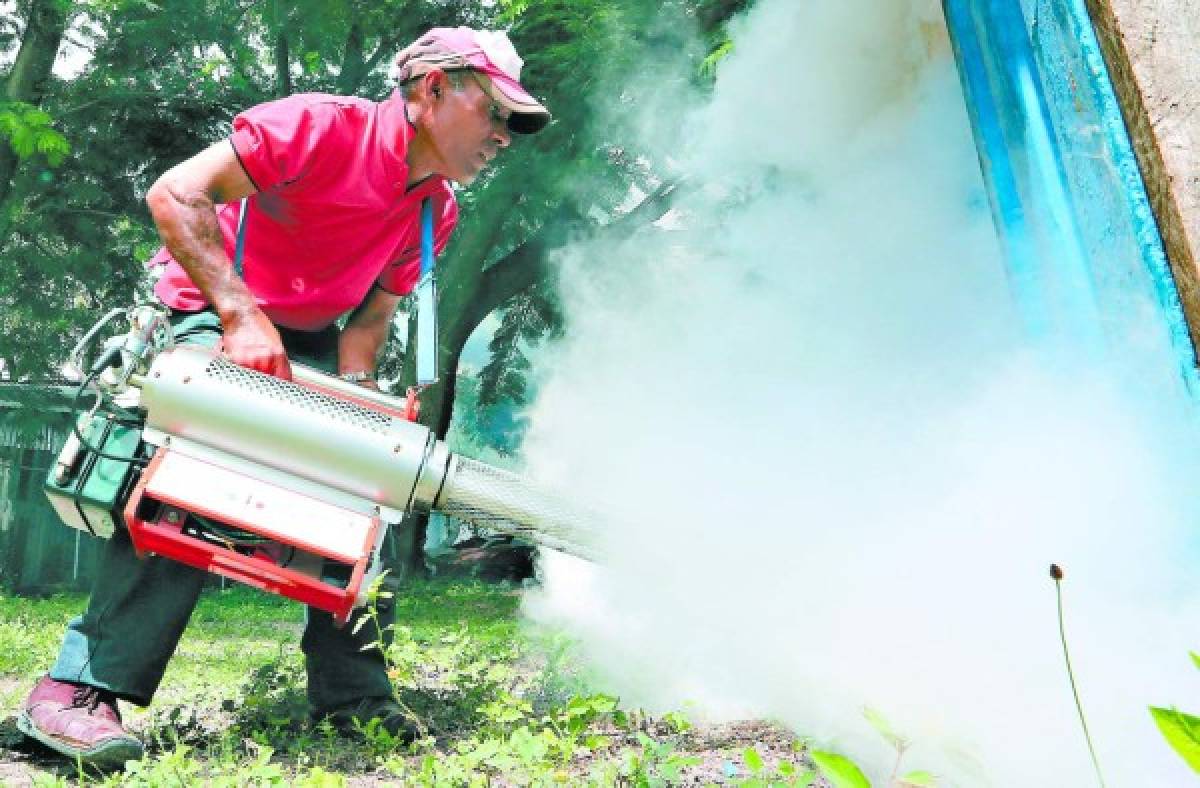 Honduras: 12 mil casos de chikungunya